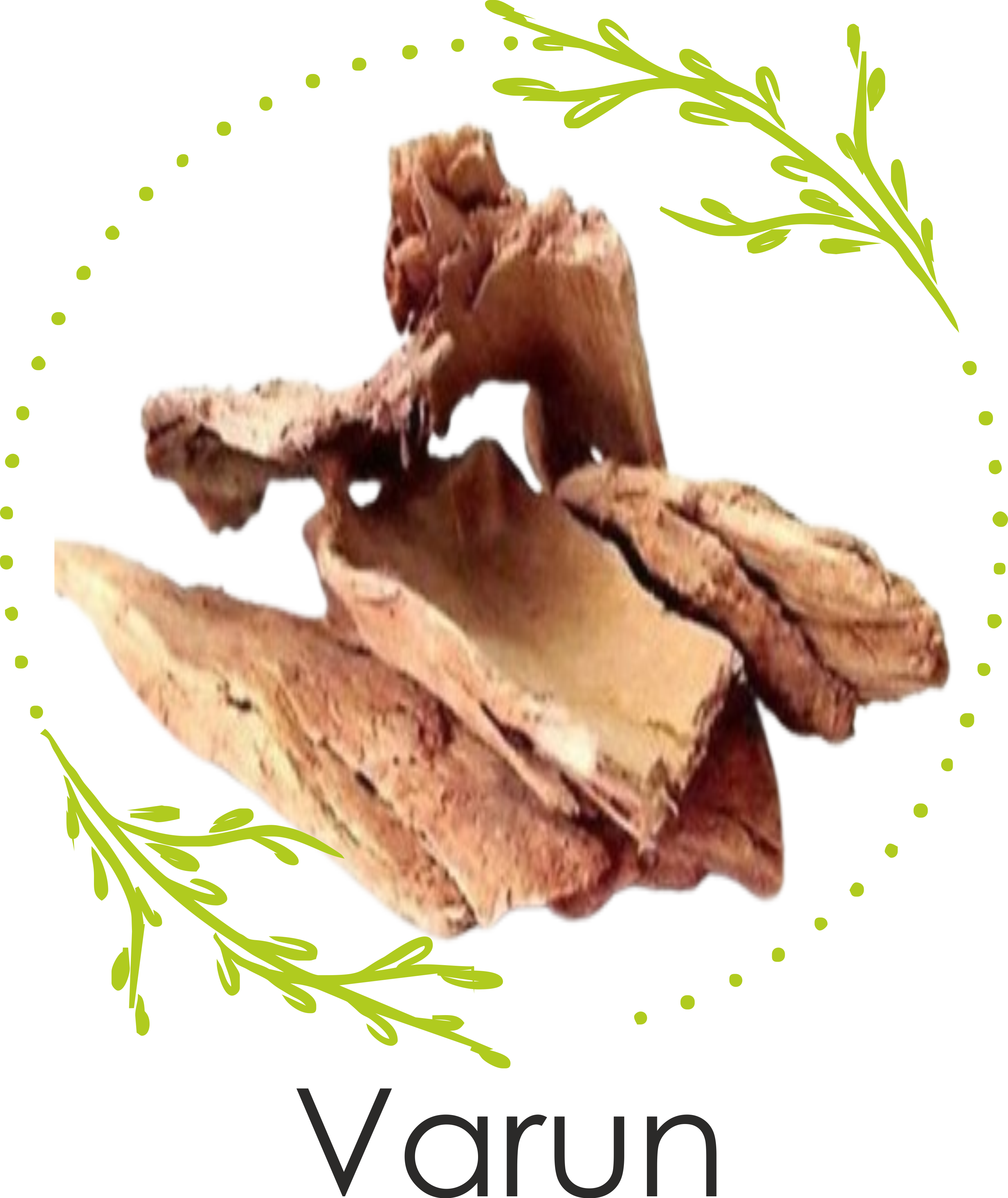 Helpful in Gout related problems due to its anti-inflammatory properties.