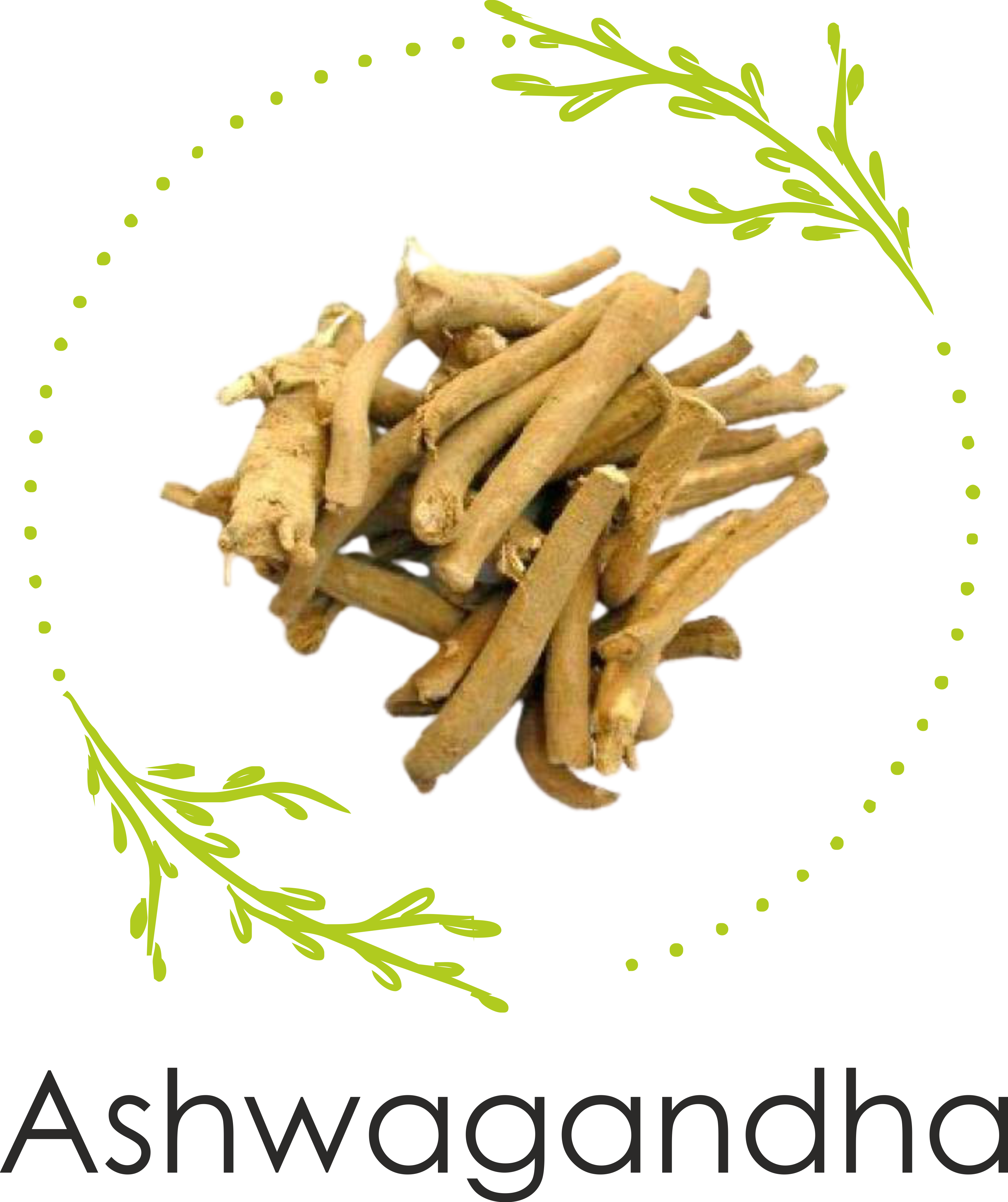 Helpful in Gout related problems due to its anti-inflammatory properties.